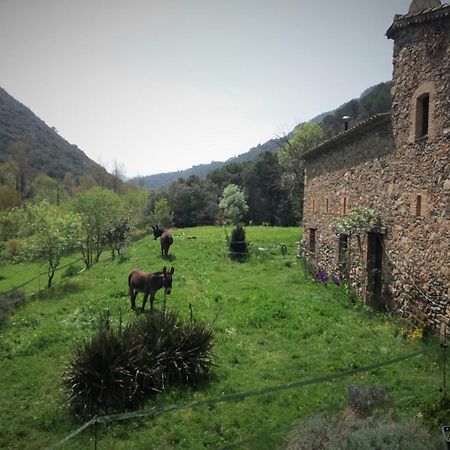 Bed And Breakfast Casanova De Sant Miquel Aiguafreda Exterior photo