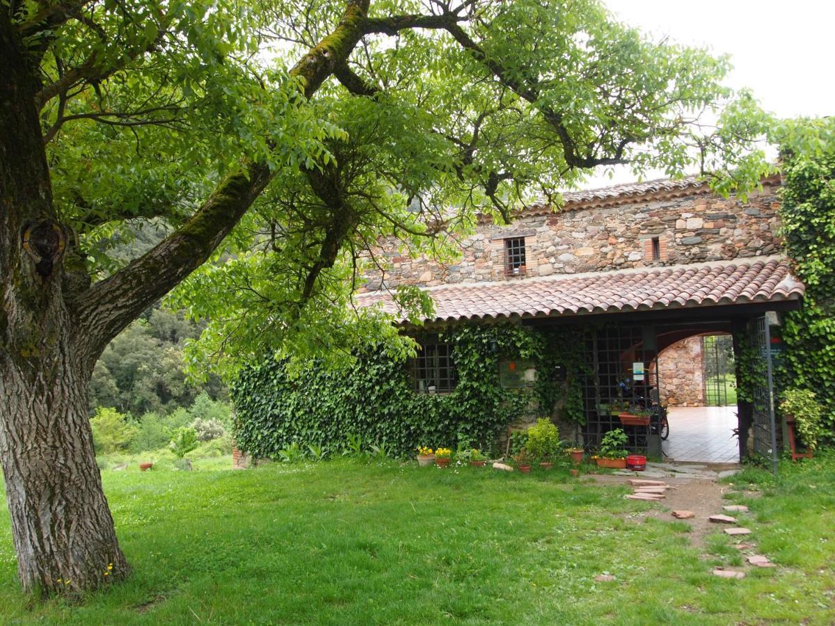 Bed And Breakfast Casanova De Sant Miquel Aiguafreda Exterior photo