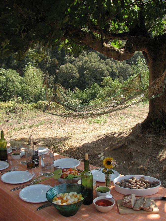 Bed And Breakfast Casanova De Sant Miquel Aiguafreda Exterior photo