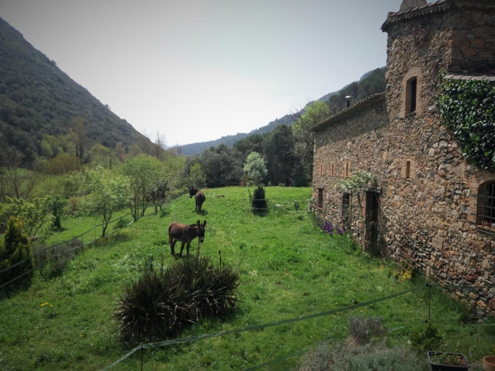 Bed And Breakfast Casanova De Sant Miquel Aiguafreda Exterior photo